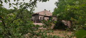 La Rosa antica dell'Etna